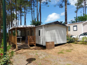 Bungalow de 3 chambres avec piscine partagee jardin clos et wifi a Saint Julien en Born a 4 km de la plage